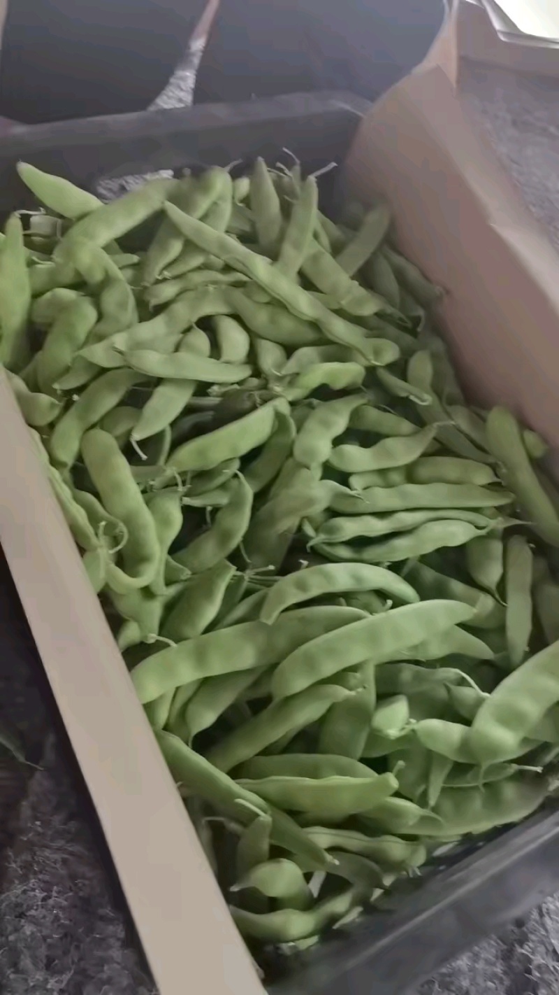 豆子更大更长，品质更好