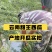 《甜王西瓜》小钢炮甜王代办代收/甜王/无籽西瓜/无籽甜王