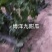 博洋九甜瓜大降价，两块二三起，瓜甜型好！