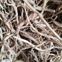 云南精品中药材野党参水洗货，品质保证，欢迎大家来电咨询