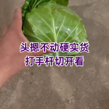 头摁不动，打手杆，切开看品质