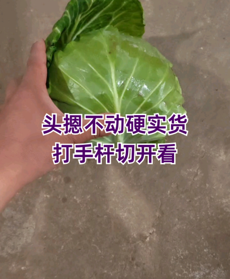 头摁不动，打手杆，切开看品质