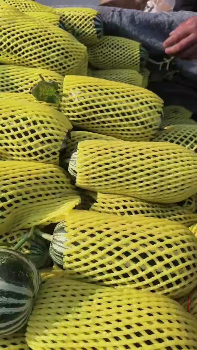博阳九甜瓜大量上市，本市场货多，物美，欢迎客户前来采购。