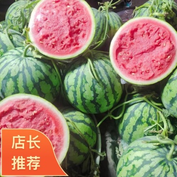 美都西瓜夏邑产地五一预售上市长期供货到国庆新鲜采摘