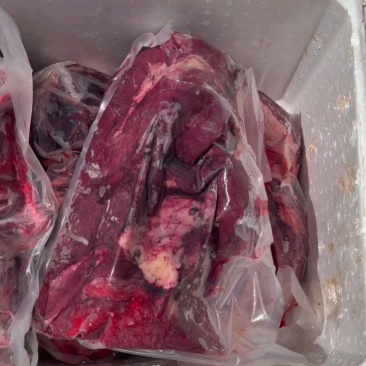 马肉，量大从优，厂家直发，品质保障，欢迎视频看货