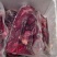 马肉，量大从优，厂家直发，品质保障，欢迎视频看货