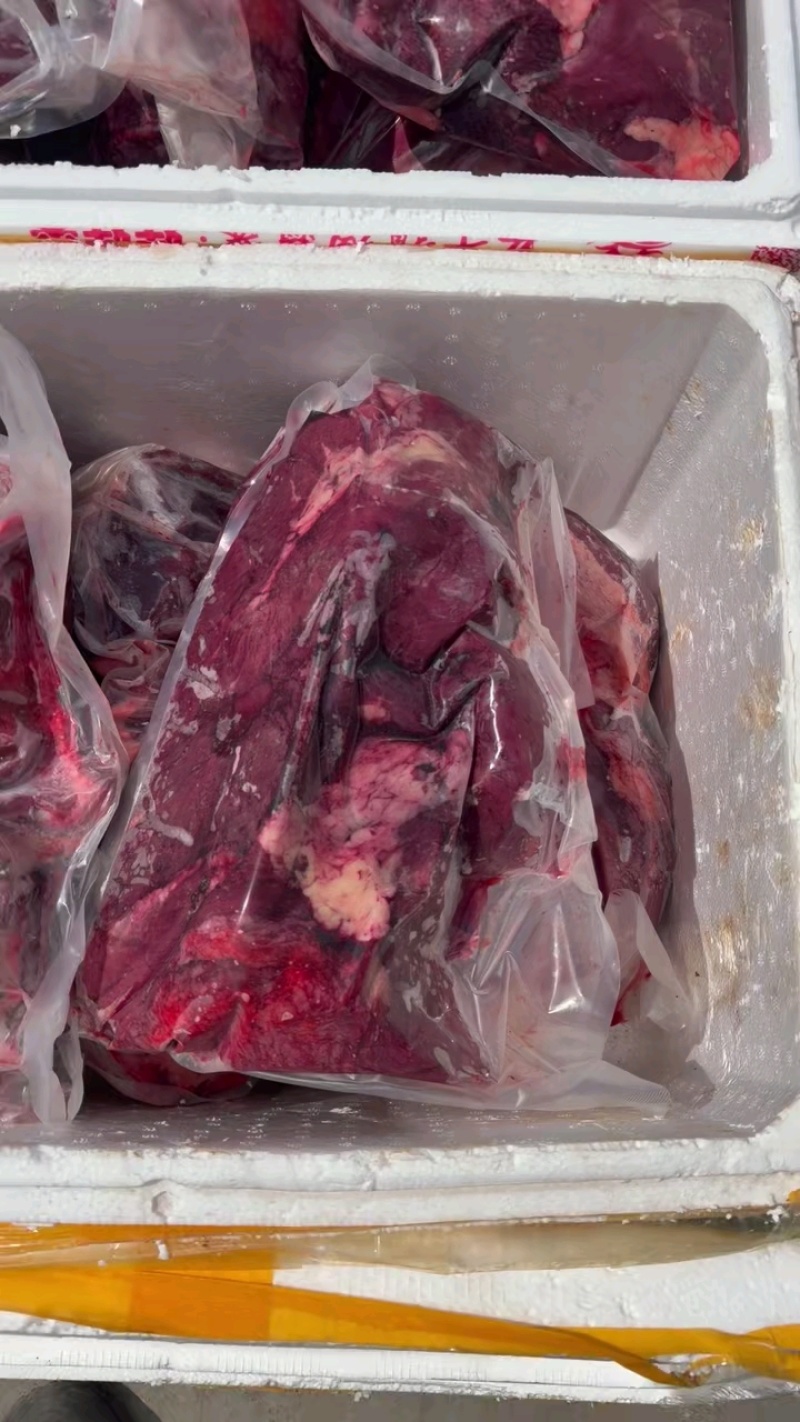 马肉，量大从优，厂家直发，品质保障，欢迎视频看货