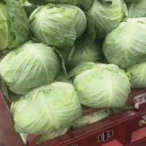 豪帝大量上市