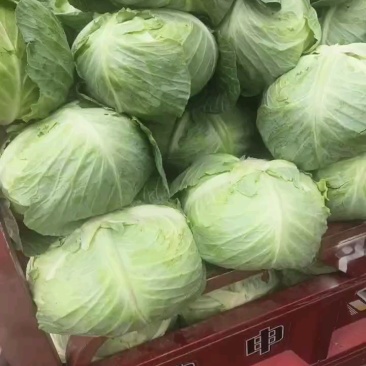 豪帝大量上市
