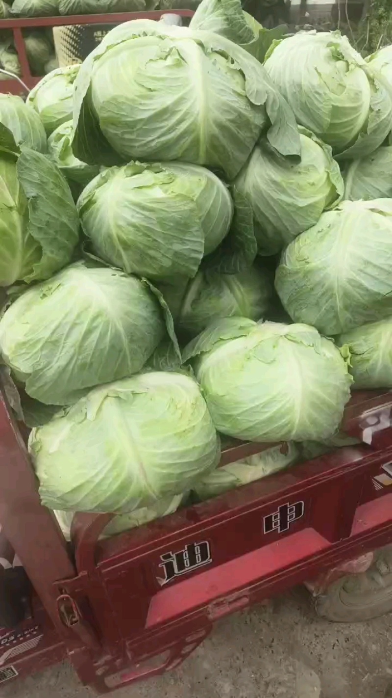 豪帝大量上市