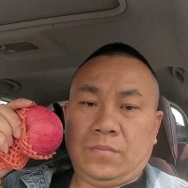 深州掐丝袋小苹果，七八毛一斤，货量充足！