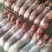 清真新鲜兔肉