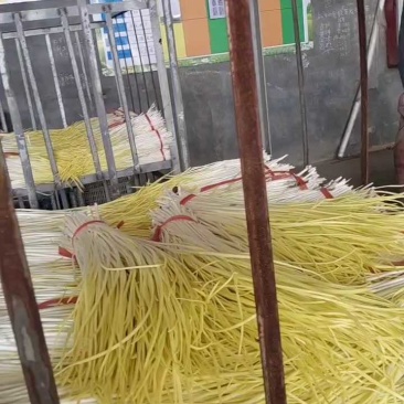 蒜黄精品蒜黄对接电商市场商超欢迎订购可代发货