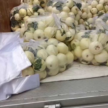白沙蜜大量供应，口感脆甜皮薄汁多，保质保量全国代收代发