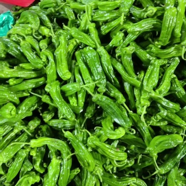 辣椒