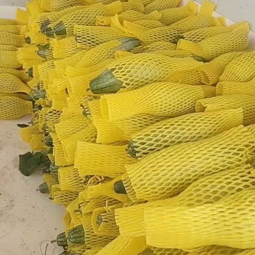 羊角蜜甜瓜山东羊角蜜甜瓜新鲜水果香瓜大量上市
