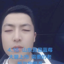 精品L25蓝莓大量上市，产地直供价格合理，可视频看货