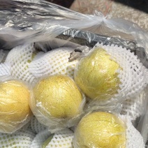 冷库货源。皇冠梨甜翠口感好！！！！！