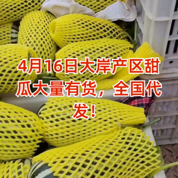 4月16日大岸产区甜瓜大量有货，全国代发！