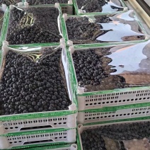 一手货源，对接电商，打包，团购，批发，零售，市场，有冷库