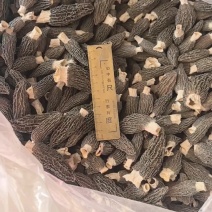 2026新货羊肚菌自家种植羊肚姬松茸，常年供应干货