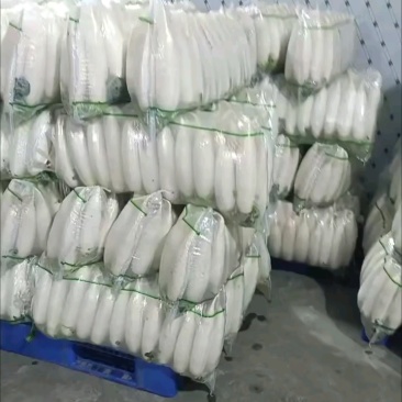 小四排现货，流水线清洗中，大量有货！