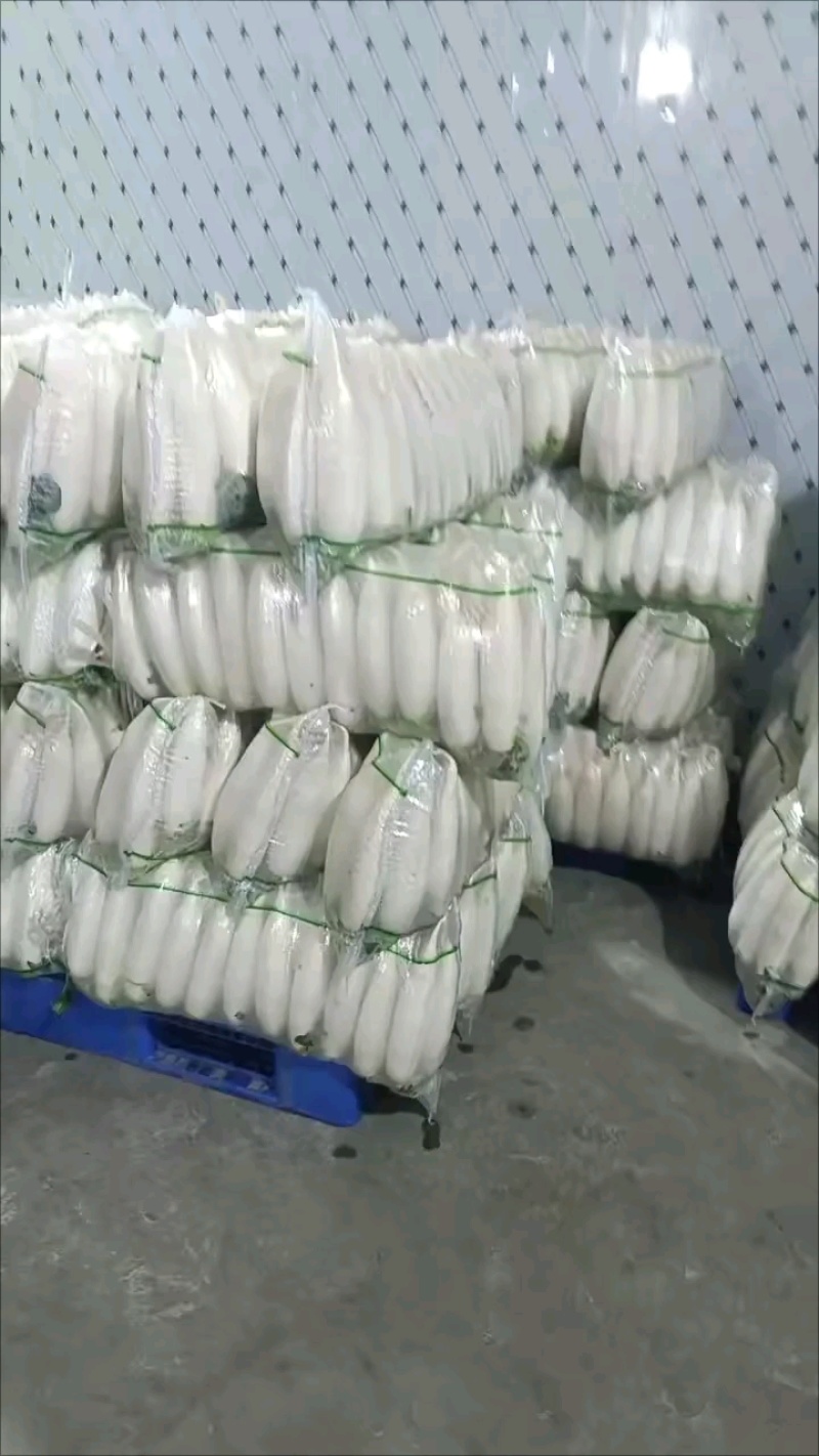 小四排现货，流水线清洗中，大量有货！