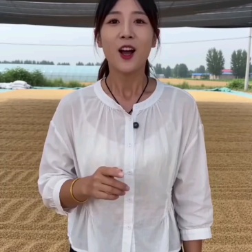 养殖，种植碎黄豆，高油，高脂高蛋白，大货可来聊！