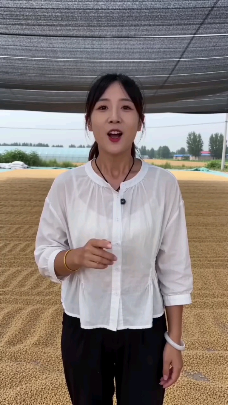 养殖，种植碎黄豆，高油，高脂高蛋白，大货可来聊！