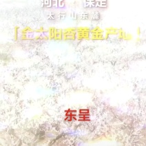 金太阳，加工厂货源基地，超市，电商，市场果。