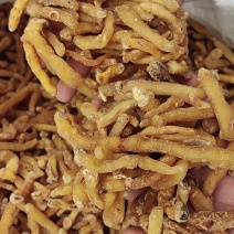 湘玉竹干货玉竹条干玉竹个产地一手货可供实体店批发零售