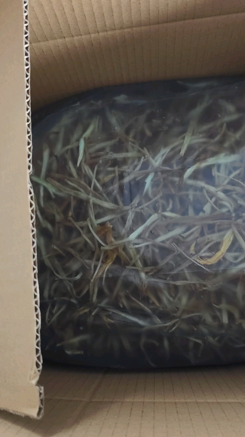 【热卖】干黄花菜自然晾干0添加品质保证欢迎选购