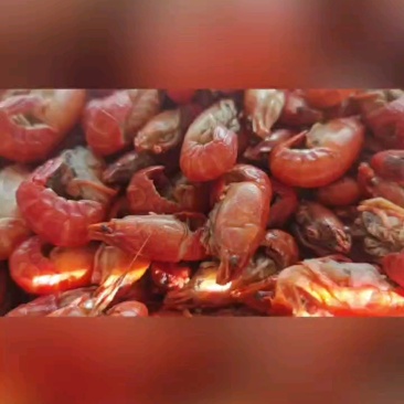 源头厂家直供带黄小龙虾仁