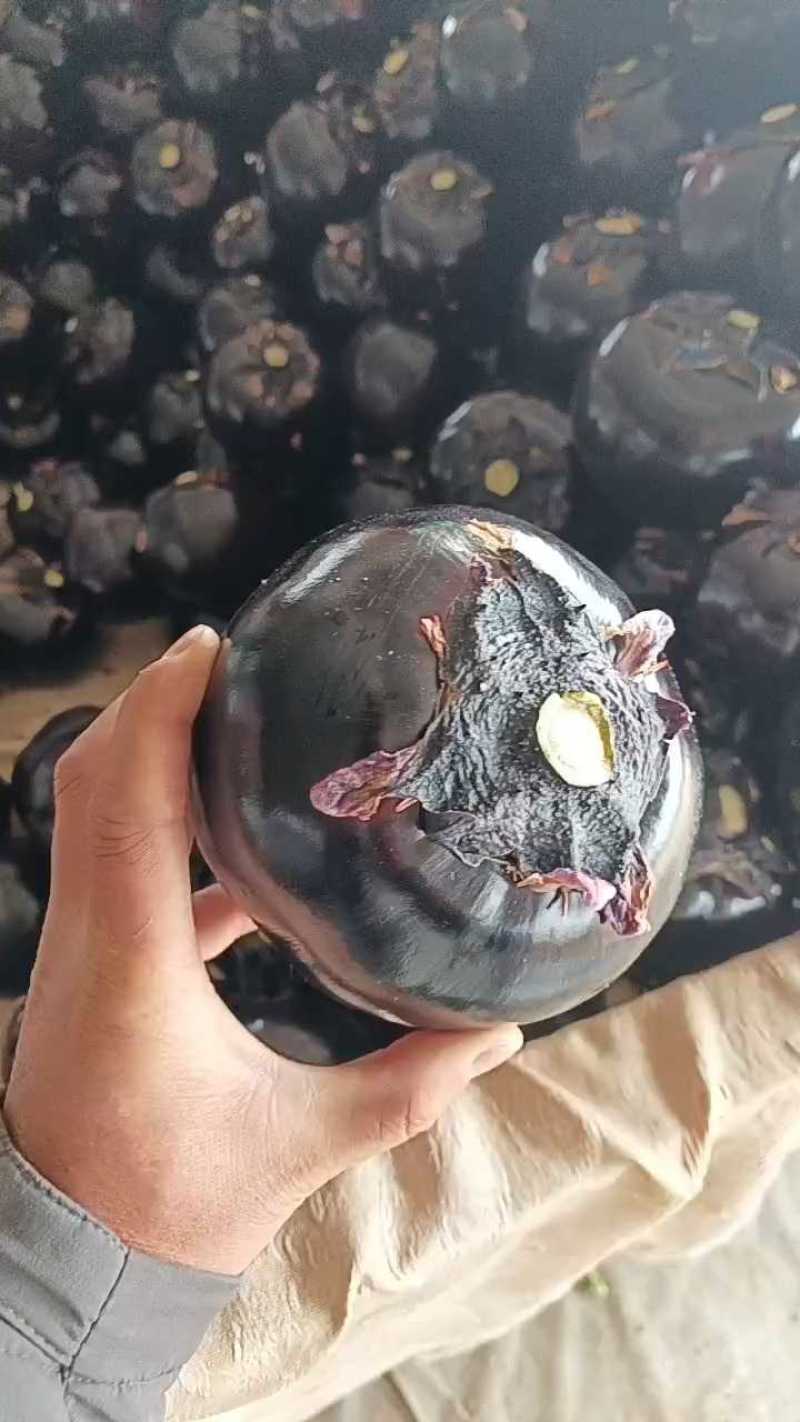 精品圆茄，质量漂亮无杂质。