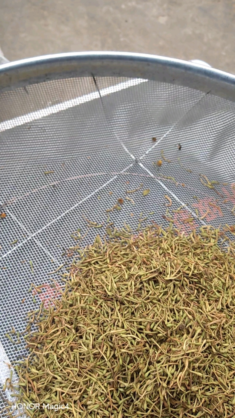 安龙金银花，花蕾，无硫，太阳哂干，颜色好，货量冲足
