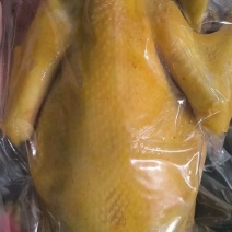 五指毛桃盐焗鸡地摊电商批发盐焗鸡摆摊卤味熟食全熟盐焗鸡