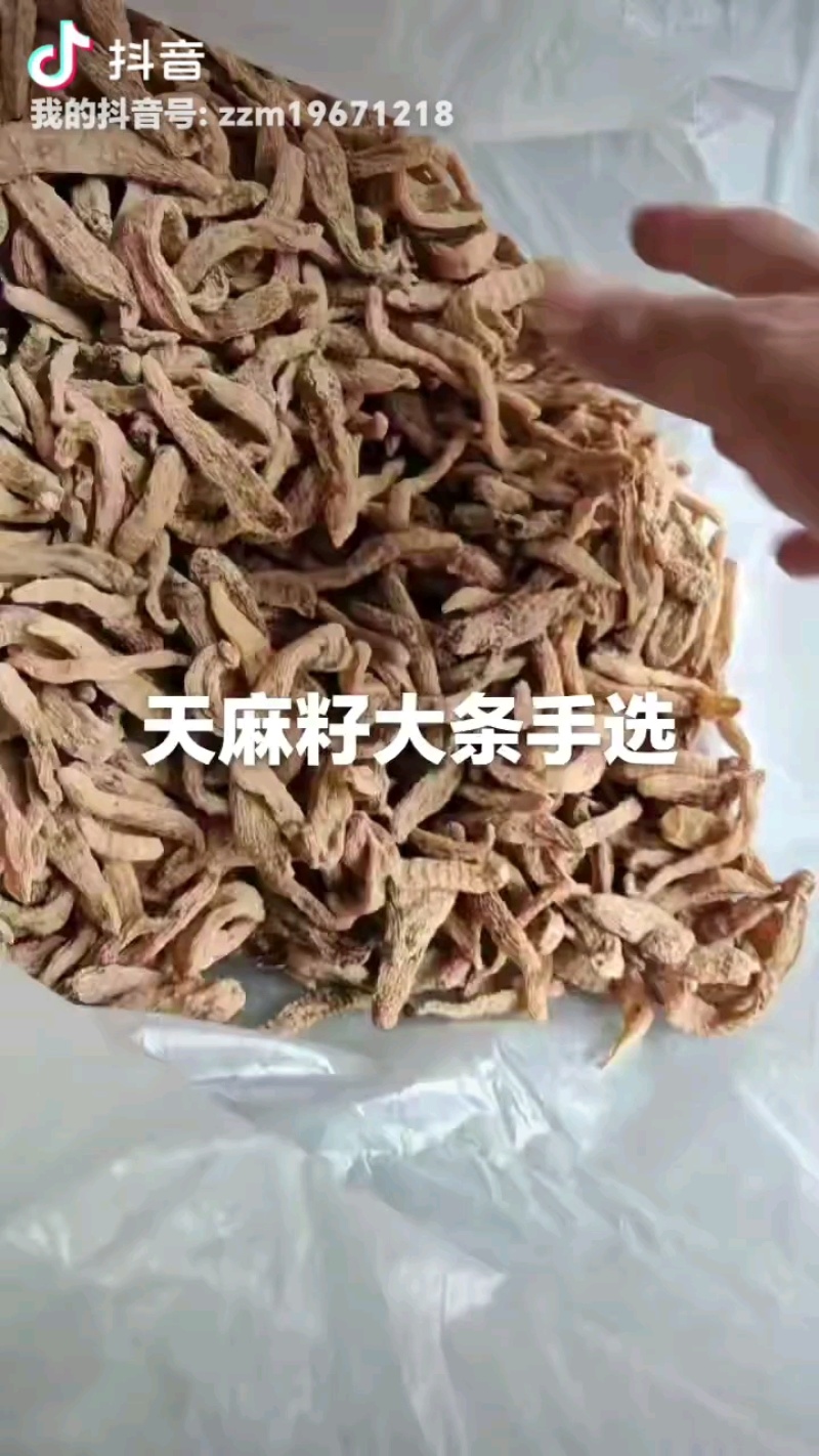 【产地批发】无硫小天麻，短支甜味，合作社自产自销，质优价