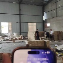绿宝甜瓜，对接全平台电商，多多仓，一件代发