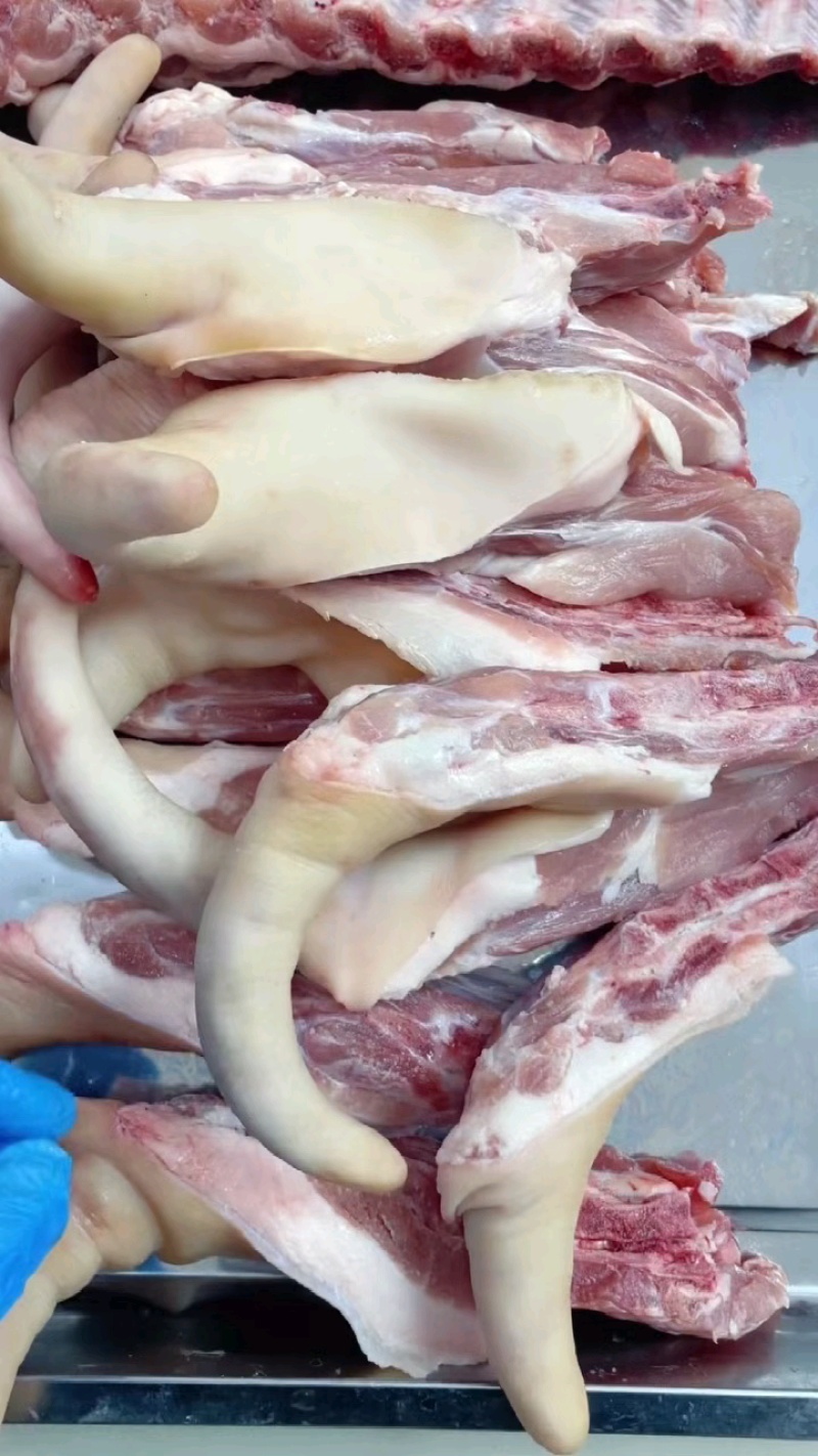 猪尾巴十几元，小活肉，毛净大猪货。
