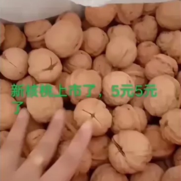 新核桃5元/斤，个大新鲜！