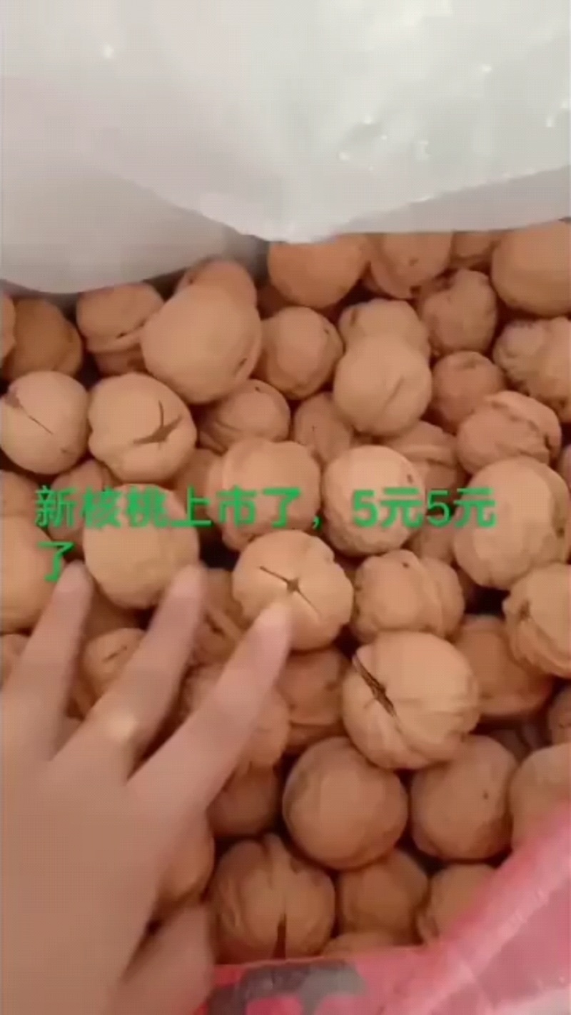 新核桃5元/斤，个大新鲜！