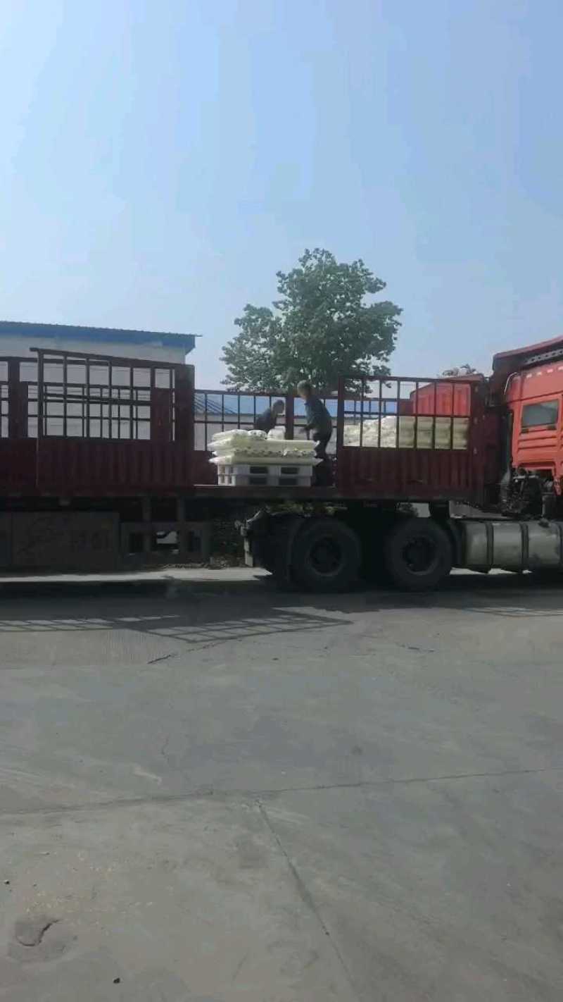 地膜厂家直销专用除草地膜杀灭蚜虫保湿水果蔬菜专用