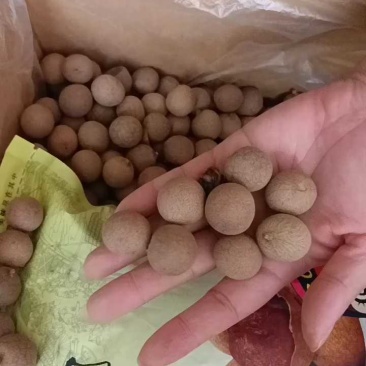 《好品质》泰国桂圆干龙眼干厂家一手货源量大从优