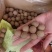 《好品质》泰国桂圆干龙眼干厂家一手货源量大从优