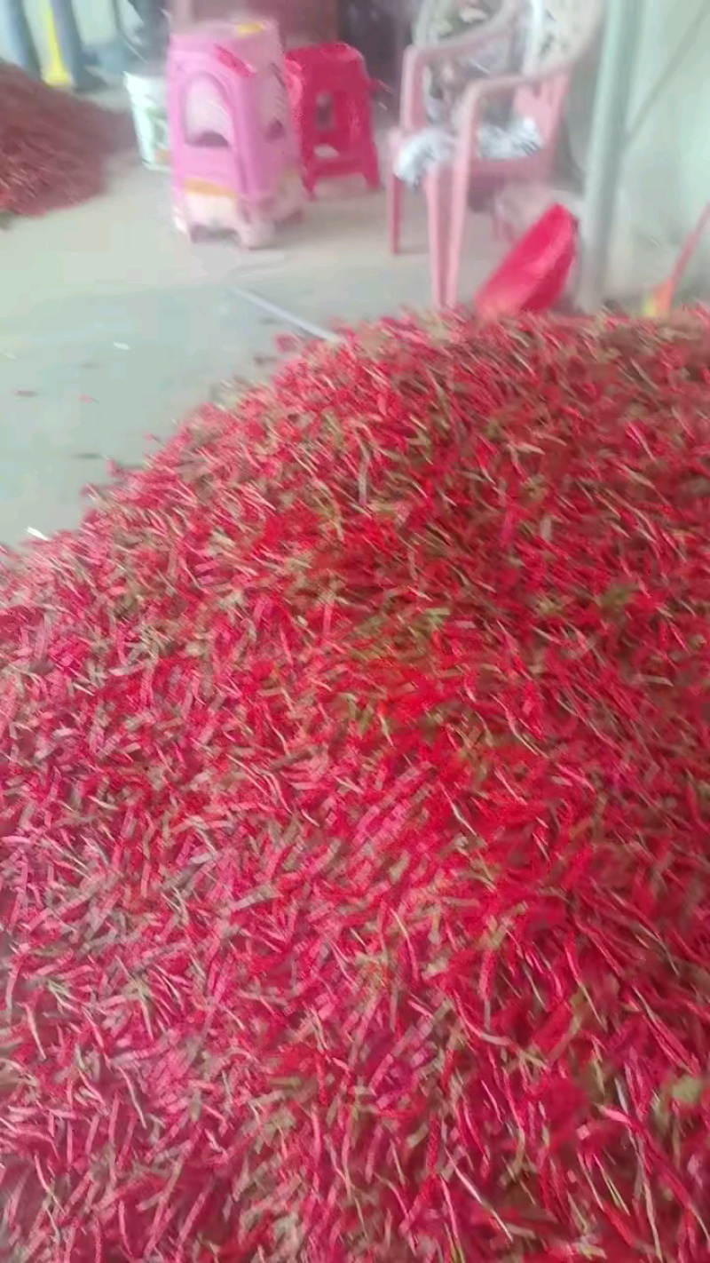 小米辣