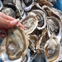 4月17日，2.5加肥度，开蚌壳肥度。