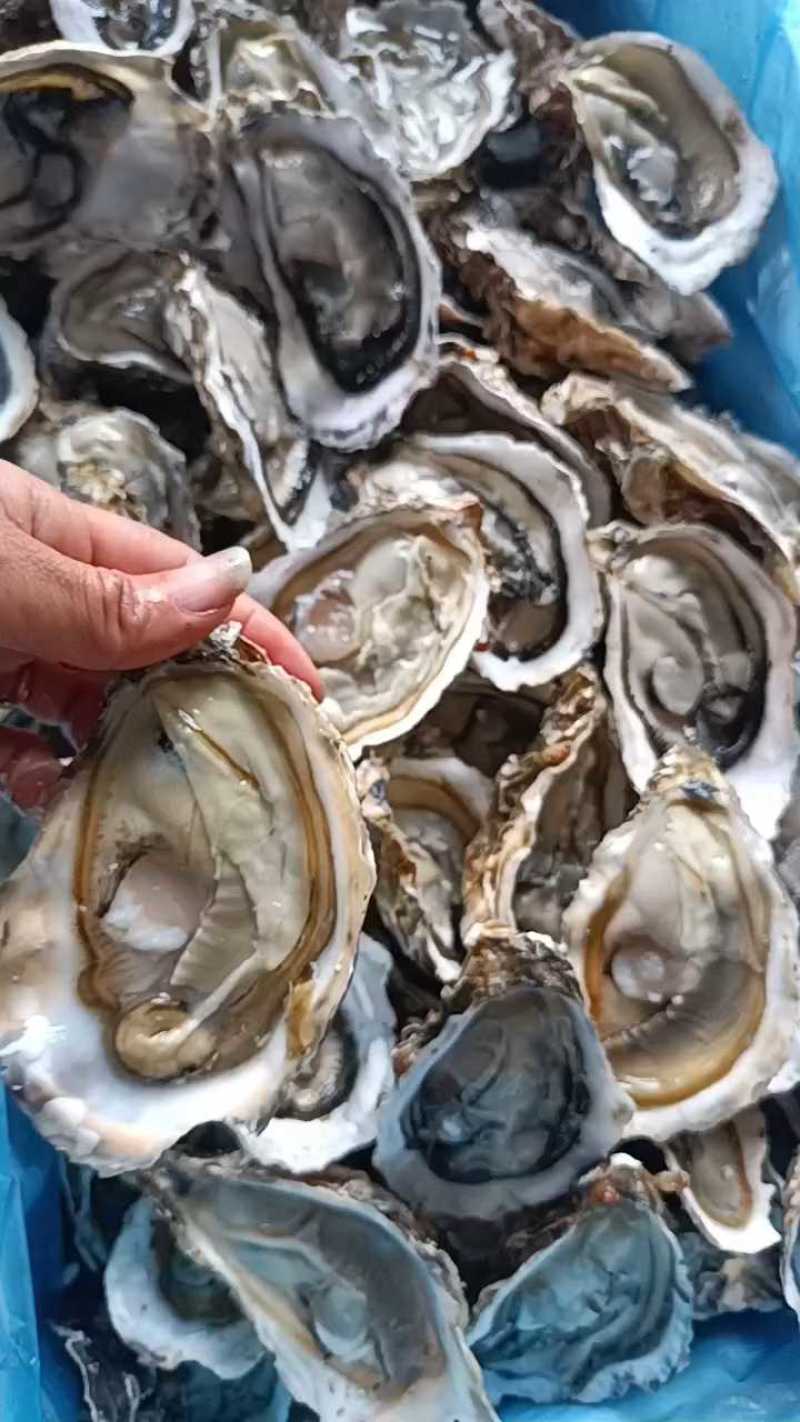 4月17日，2.5加肥度，开蚌壳肥度。