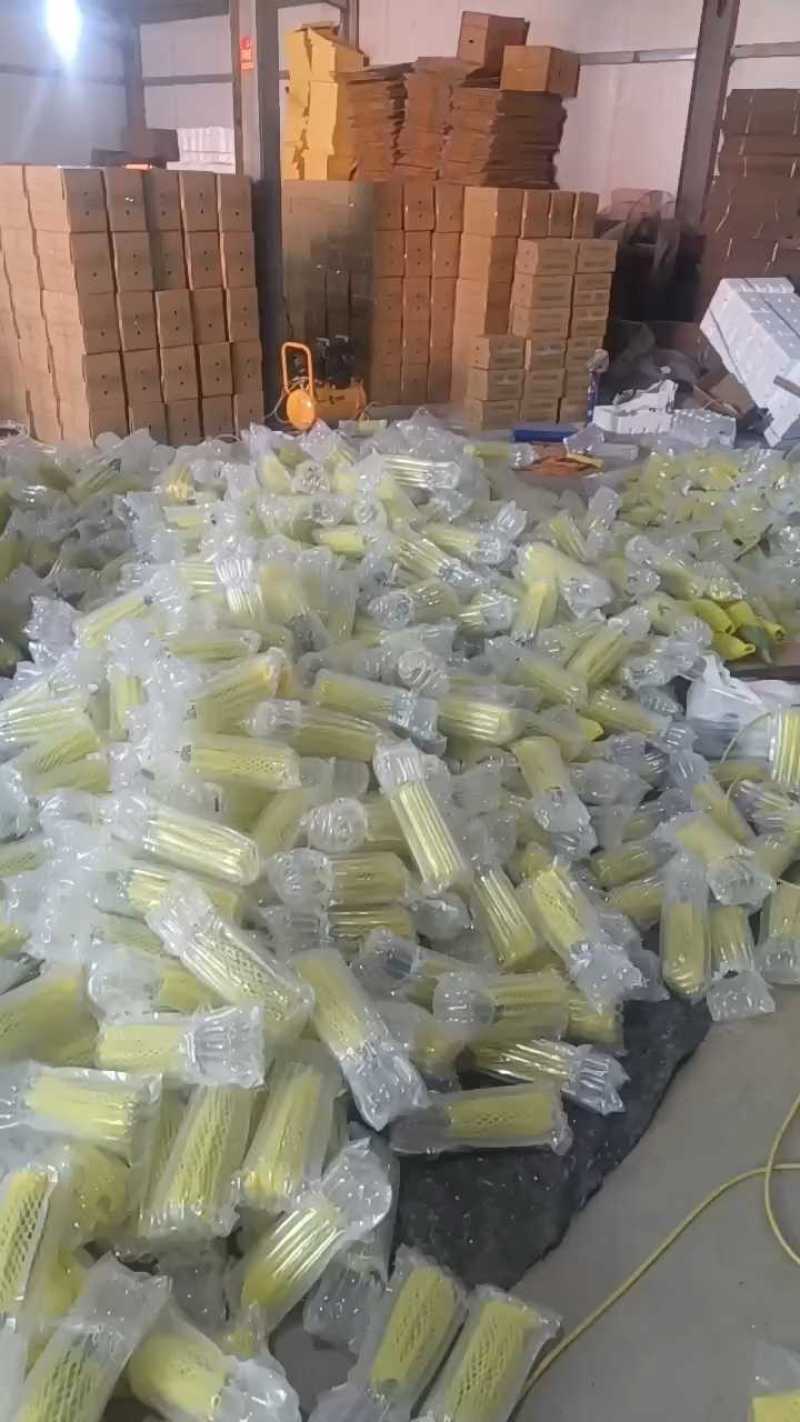 【羊角蜜甜瓜】熟度好糖度高，大量上市产地直发质量保障