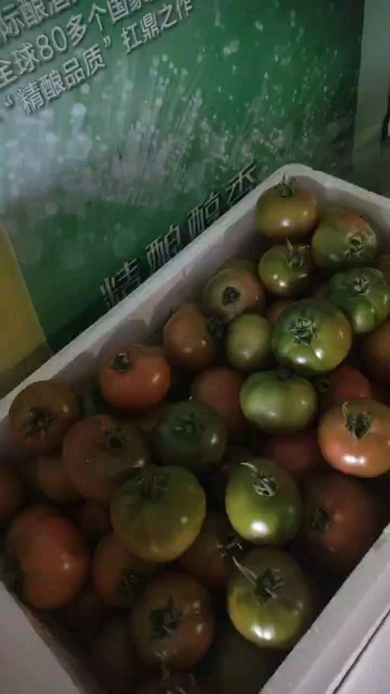 草莓柿子装车中，有货继续联系！