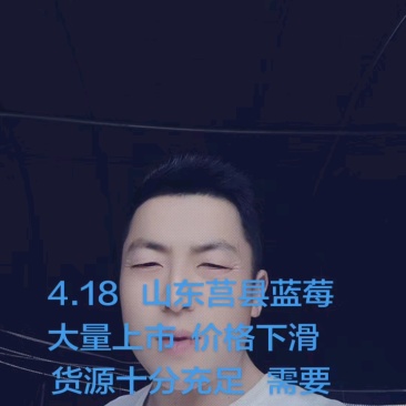 蓝莓山东花香L25纯甜蓝莓暖棚f6优惠卡L11
